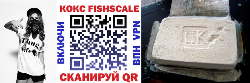 Cocaine FishScale  сколько стоит  Сертолово 
