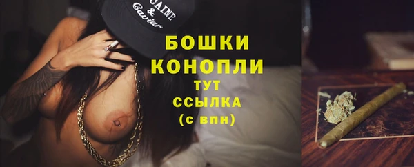 гашик Беломорск