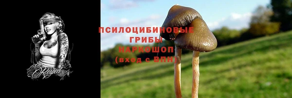ALPHA PVP Баксан