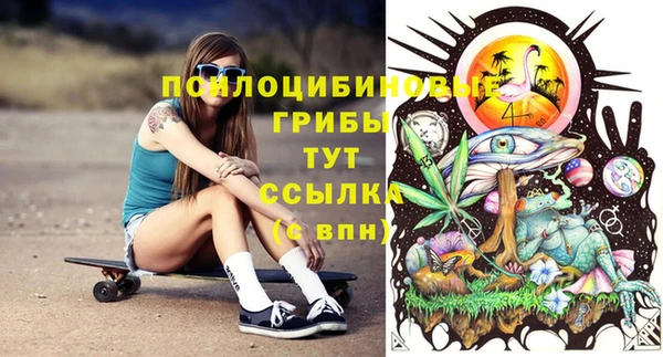 прущие крисы Белокуриха