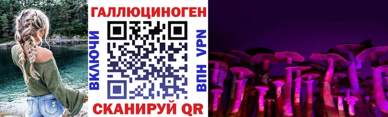 Псилоцибиновые грибы Magic Shrooms  наркошоп  ОМГ ОМГ   Сертолово 